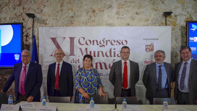 Un momento de la presentación del XICMJ en Segovia.