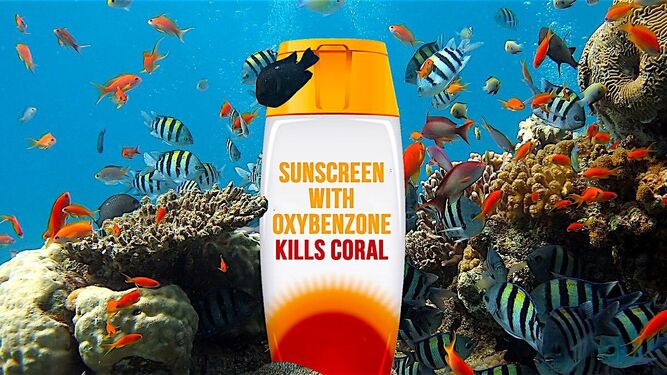 La nueva transformación química en las cremas solares que salvarán los arrecifes de corales