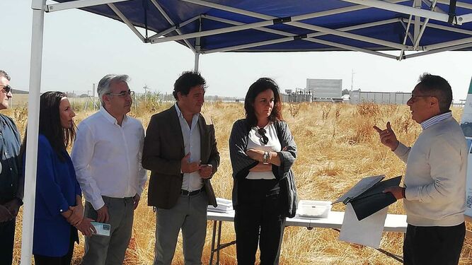 La  visita de la Junta de Andalucía y el Ayuntamiento de Chipiona a los terrenos del antiguo vertedero de La Loma.