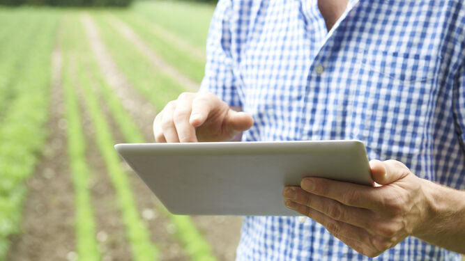 Agricultor utilizando herramientas digitales.