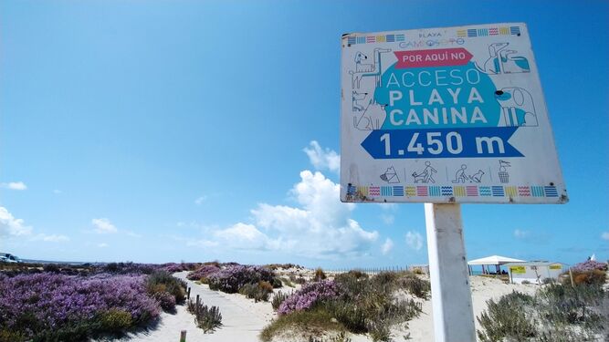 Cartel que indica el camino a seguir para llegar a la playa canina de Camposoto desde el último acceso.