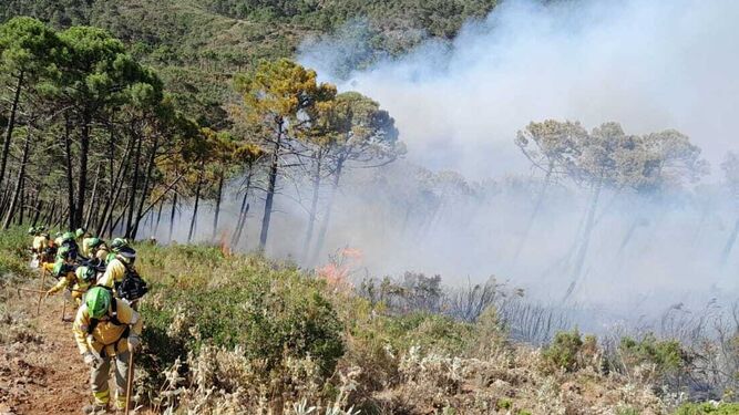 El incendio en Pujerra, en fotos