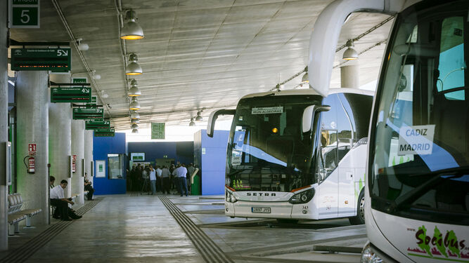Dos autobuses de Socibus en la estación de Cádiz.