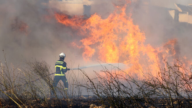 Incendio de pastos en la zona sur de Jerez