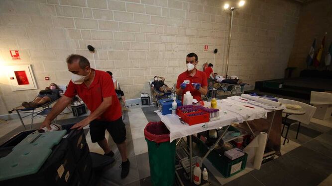 Dos voluntarios durante la colecta de sangre