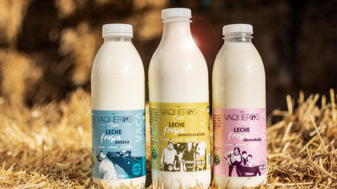 Botellas de leche de Vaqueros del Sur.