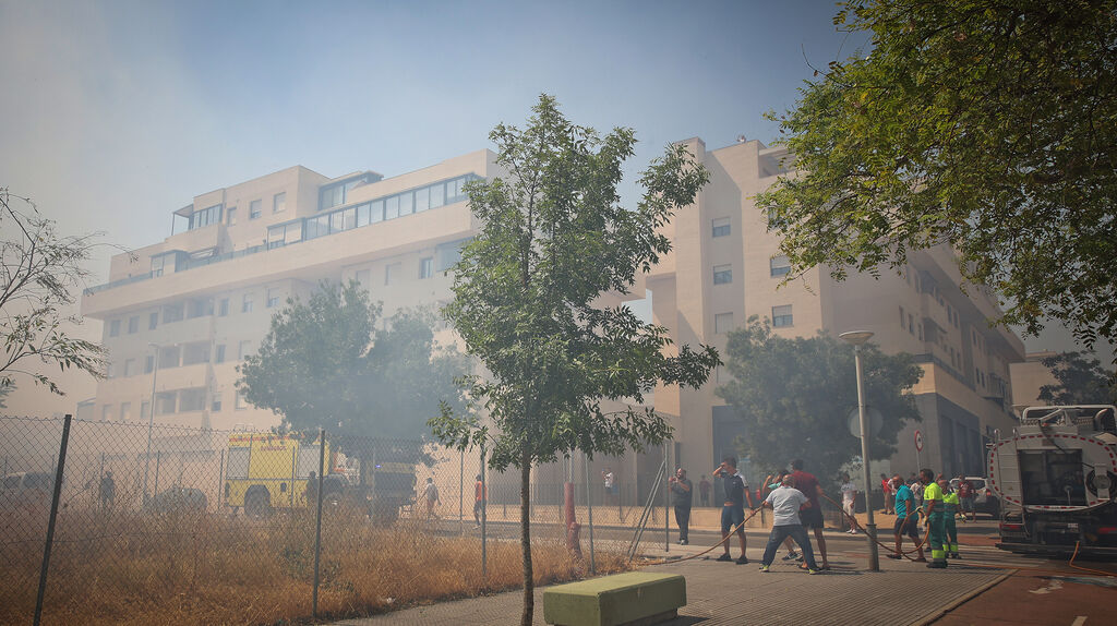 El fuego llega a las  casapuertas en Jerez