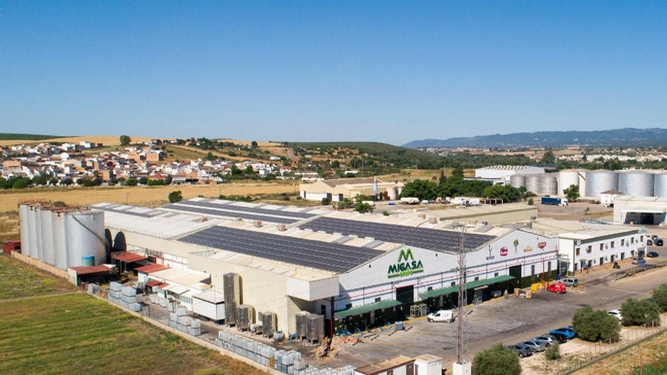 Instalación fotovoltaica en la planta de Migasa en Alcolea, Córdoba