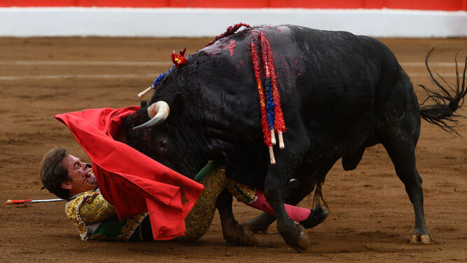 El primer toro de la tarde cogió de manera espeluznante a Dávila Miura, al que corneó en la mandíbula.