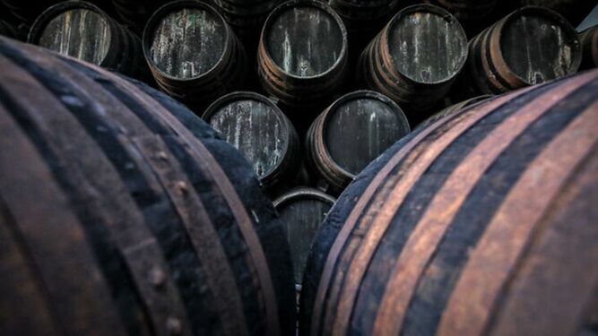 Botas dispuestas en criaderas y soleras para la crianza del vino de Jerez.