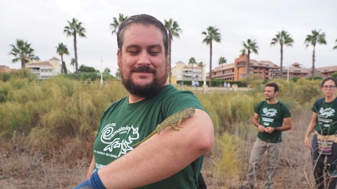Un camaleón en el brazo de uno de los voluntarios.