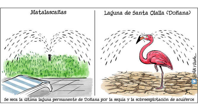 Doñana se seca por completo