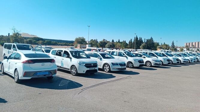 Concentración de los taxistas de Jerez este jueves en el aparcamiento junto al González Hontoria.