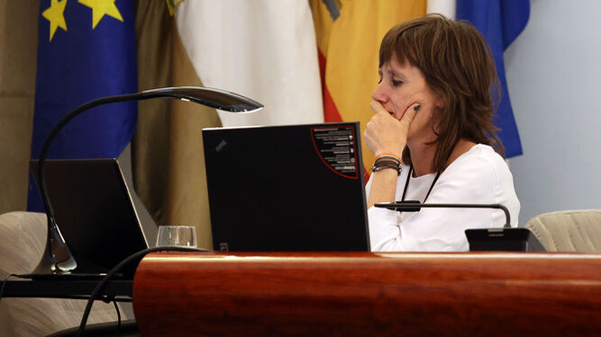 La delegada de Economía, Laura Álvarez, durante un pleno.