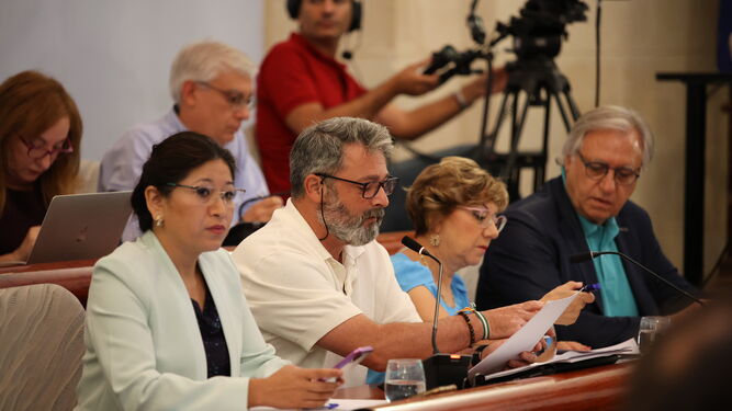 El delegado de Movilidad, Rubén Pérez, en el centro de la imagen, durante un pleno.