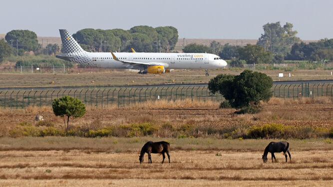 Un avión de Vueling en el Aeropuerto de Jerez.