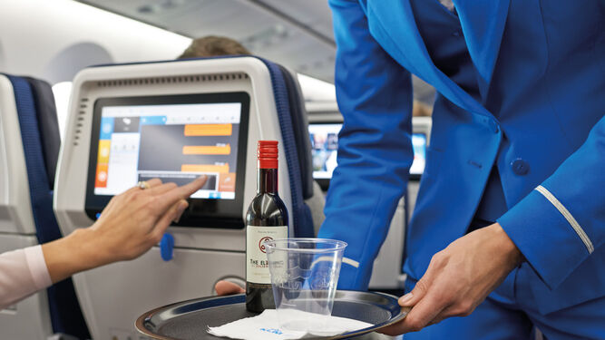El alcohol en un vuelo agrava sus efectos.