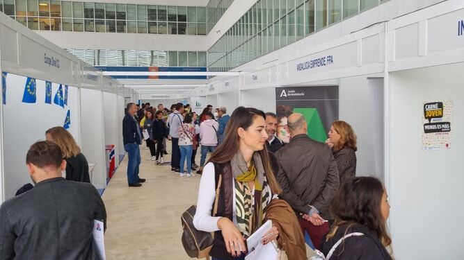 Imagen de la Feria de Empleo de la UCA en el Campus de Jerez