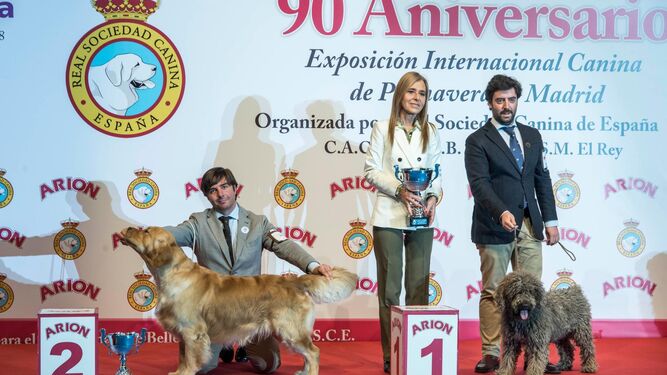 Más de un millar de perros de 120 razas participan este fin de semana en la Exposición Nacional Canina de Madrid