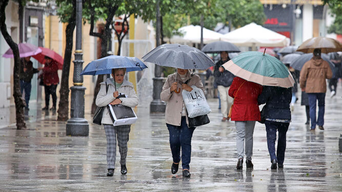 Varias personas caminando con paraguas por la calle Larga