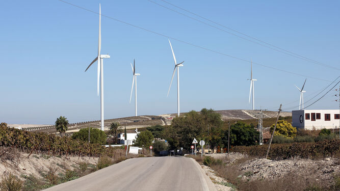 Aerogeneradores del parque eólico de El Barroso.