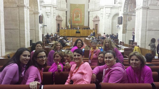 Un grupo de mujeres de la asociación en el Parlamento Andaluz.