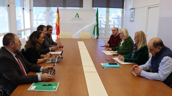 La delegada del Gobierno mantiene una reunión de trabajo con los seis gerentes del SAS en la provincia.