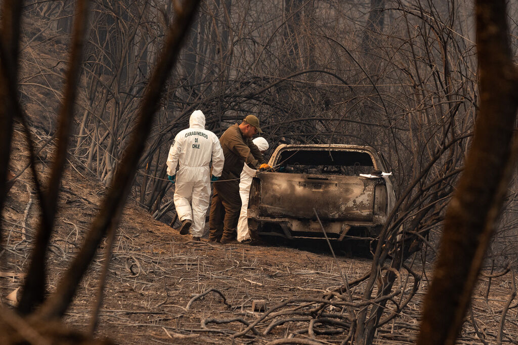 Fotos del incendio forestal en Chile