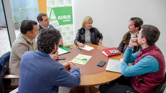García-Pelayo reunida con el delegado territorial de Agricultura, el presidente de Asaja Cádiz y la Asociación Española de Técnicos Cerealistas.