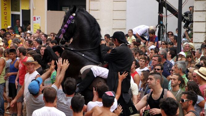 Un caballo en Menorca durante las fiestas de San Juan