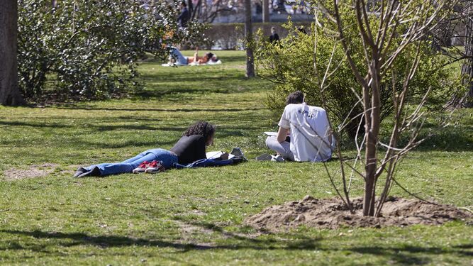 Una pareja lee en un parque de Madrid aprovechando el buen tiempo