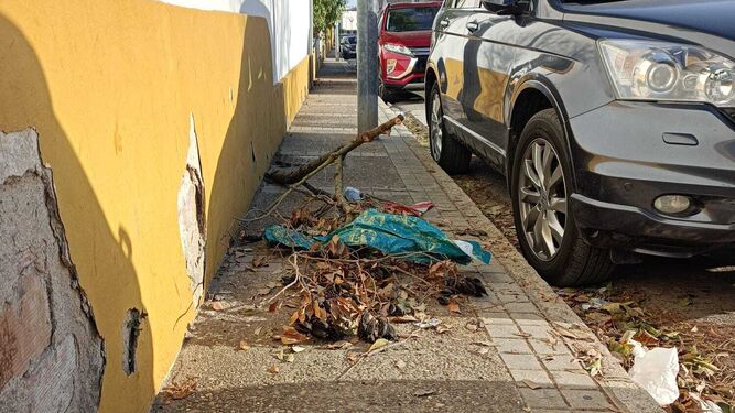 Imagen de suciedad acumulada en la calle Pizarro.