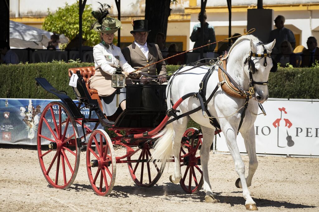 Puro espect&aacute;culo en el Concurso de Enganches de la Feria del Caballo de Jerez