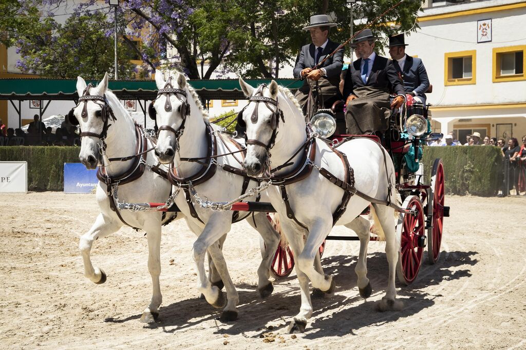 Puro espect&aacute;culo en el Concurso de Enganches de la Feria del Caballo de Jerez