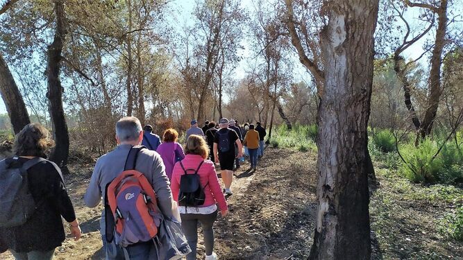 Un instante del primer paseo realizado por la ribera del Guadelete organizado por Ecologistas en Acción.