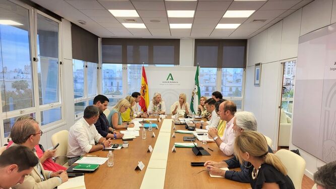 Imagen de la reunión entre el equipo de Pelayo y el de Colombo en la sede de la Junta en Cádiz