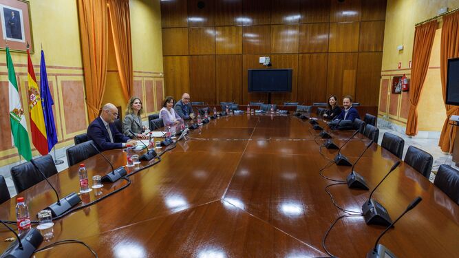 Reunión de los participantes en la comisión de la Faffe en el Parlamento de Andalucía.