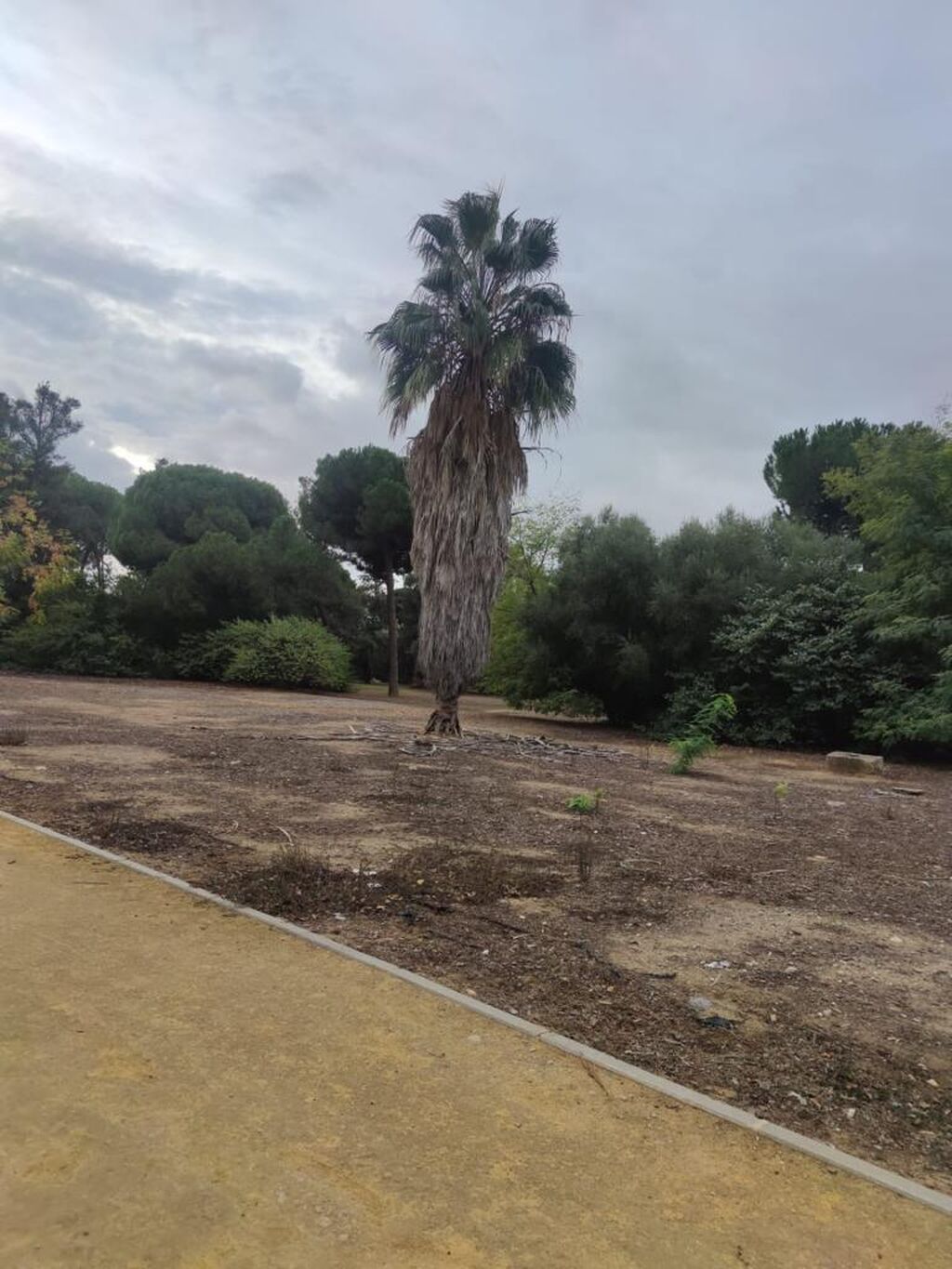 Quejas vecinales por el mal estado de los parques de Pozoalbero en Jerez.