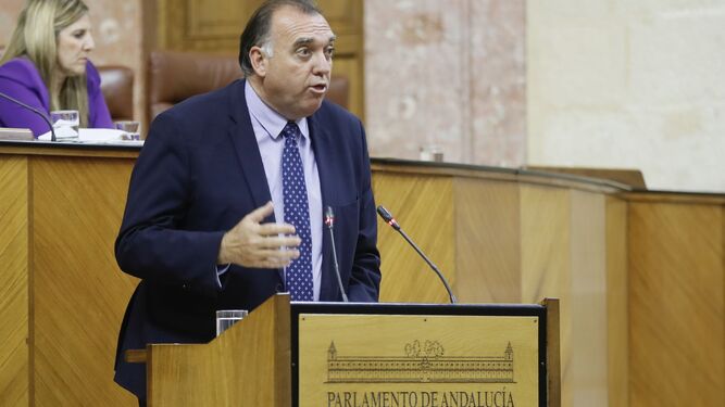 Arturo Bernal en el pleno del Parlamento de Andalucía.