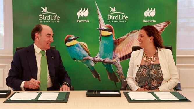 Iberdrola y Birdlife International firman una alianza para proteger la biodiversidad