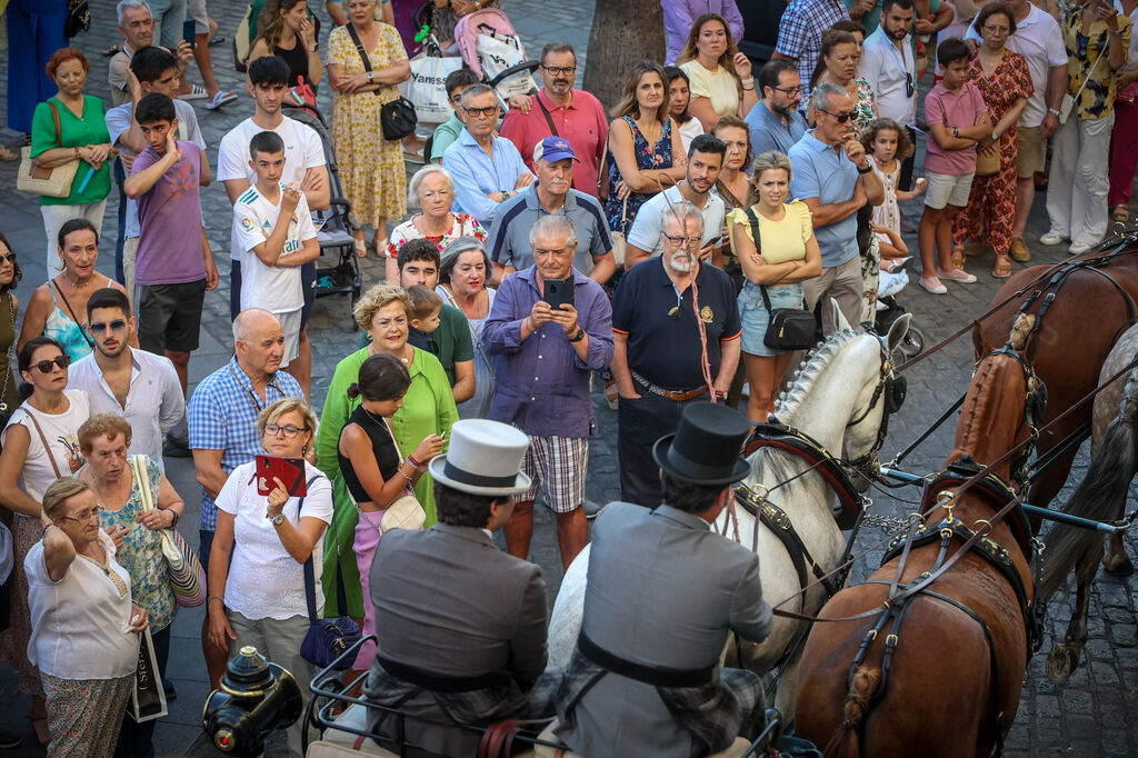 B&uacute;scate en la Parada H&iacute;pica por el 50 aniversario de Real Escuela en Jerez