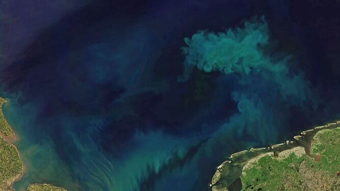 Para rastrear los cambios en el color del océano, los científicos analizaron las mediciones del color del océano tomadas por el espectrorradiómetro de imágenes de resolución moderada (MODIS) a bordo del satélite Aqua, que ha estado monitoreando el color del océano durante 21 años.