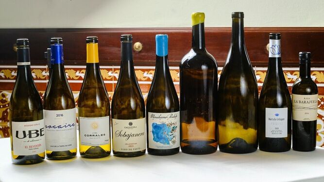 Botellas de vinos blancos del marco de Jerez o de pasto en una cata de bodegas agrupadas en la asociación Territorio Albariza.