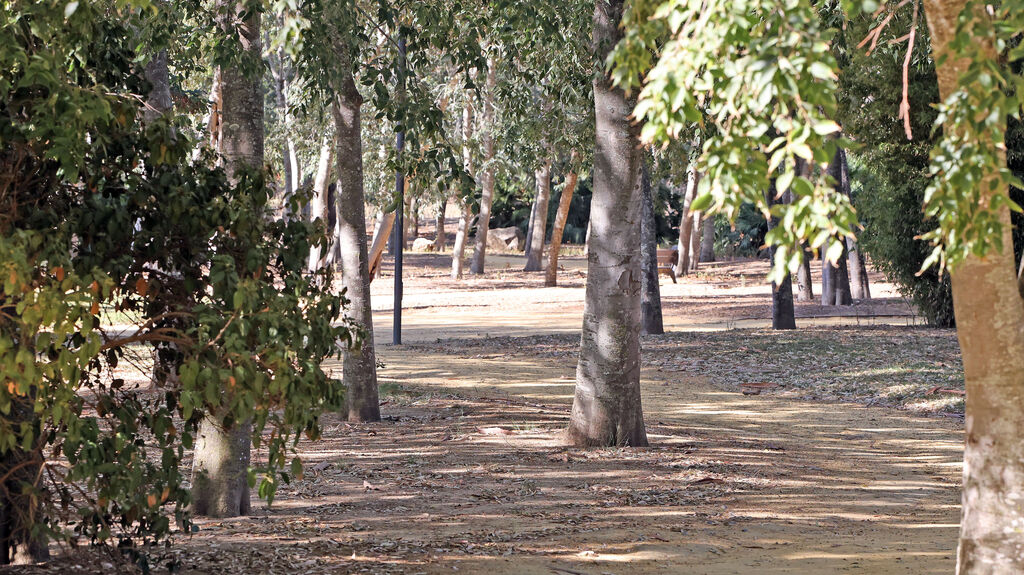 Estado del Jard&iacute;n Esc&eacute;nico, un parque lleno de hojas secas