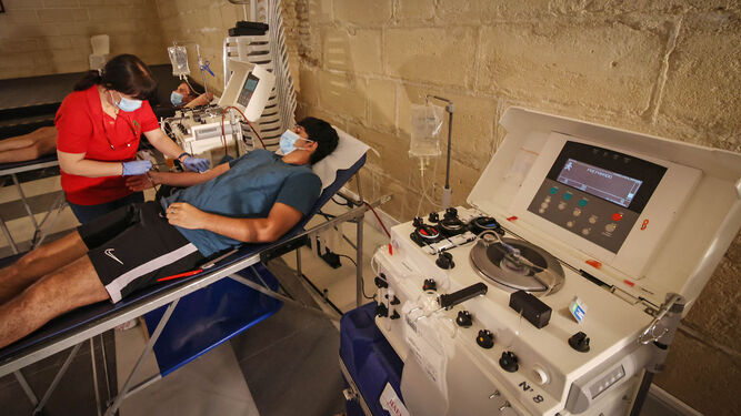 Una imagen de donación de sangre en Jerez.