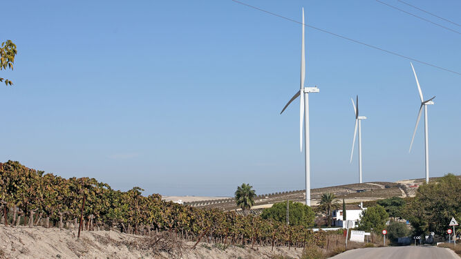 Aerogeneradores del parque eólico El Barroso en pleno corazón del viñedo histórico del marco de Jerez.