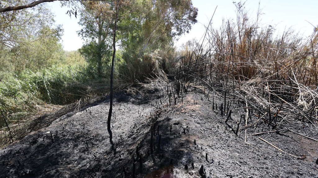 Infoca refresca la zona del incendio en La Ina
