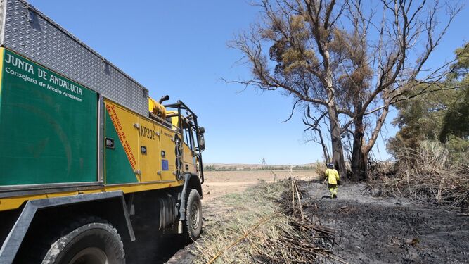 Un bombero forestal del Plan Infoca refrescando un foco del incendio registrado cerca de la carretera de La Ina