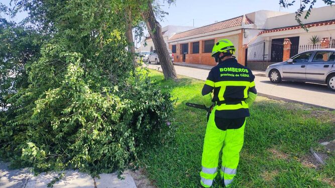 Intervención de los bomberos de Jerez en Estella del Marqués.
