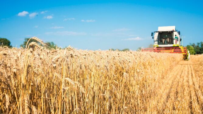 La innovación y las mejoras genéticas se convierten en ejes básicos de la financiación para reconvertir el sector agroalimentario ante la sequía